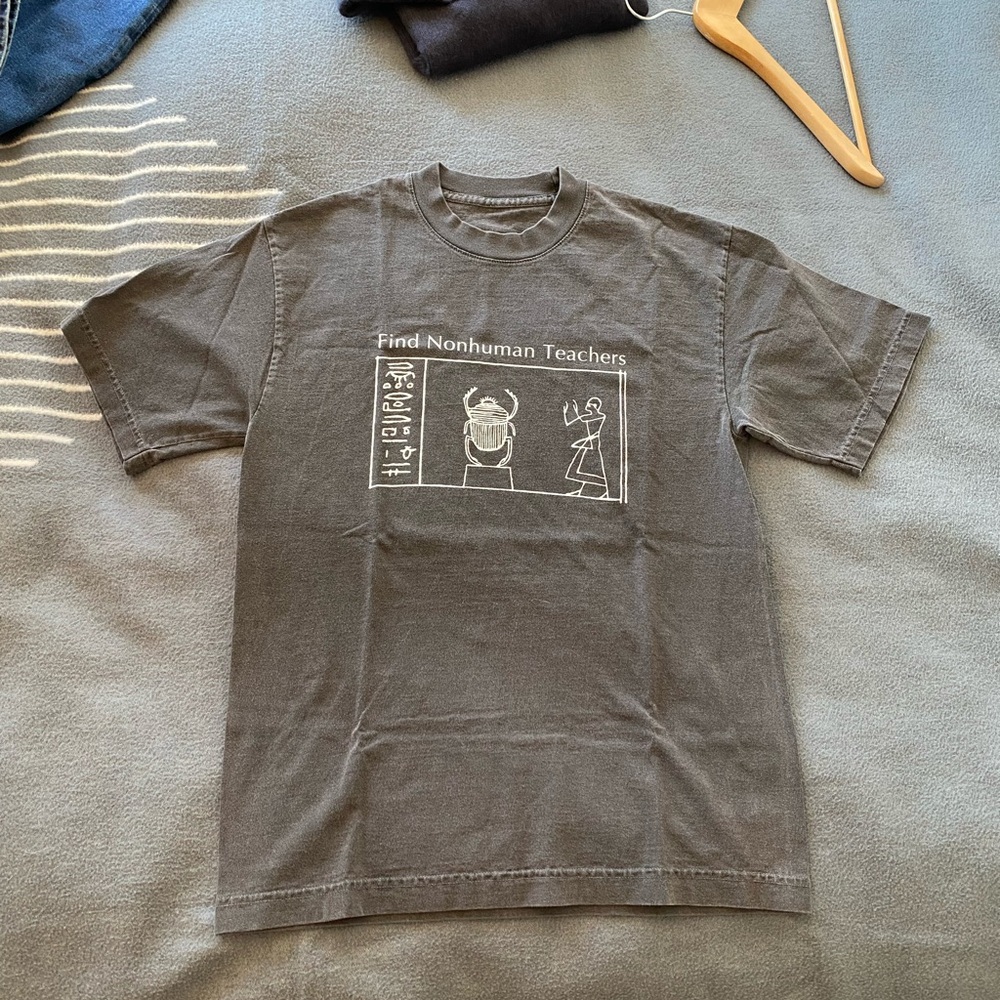 Find Nonhuman Teachers Gray Graphic T-Shirt
